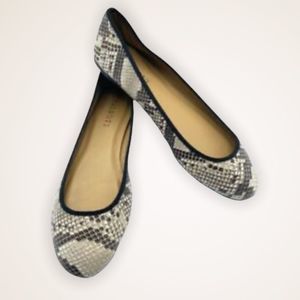 TALBOTS Snakeskin Print Genuine Leather Ballet Flats